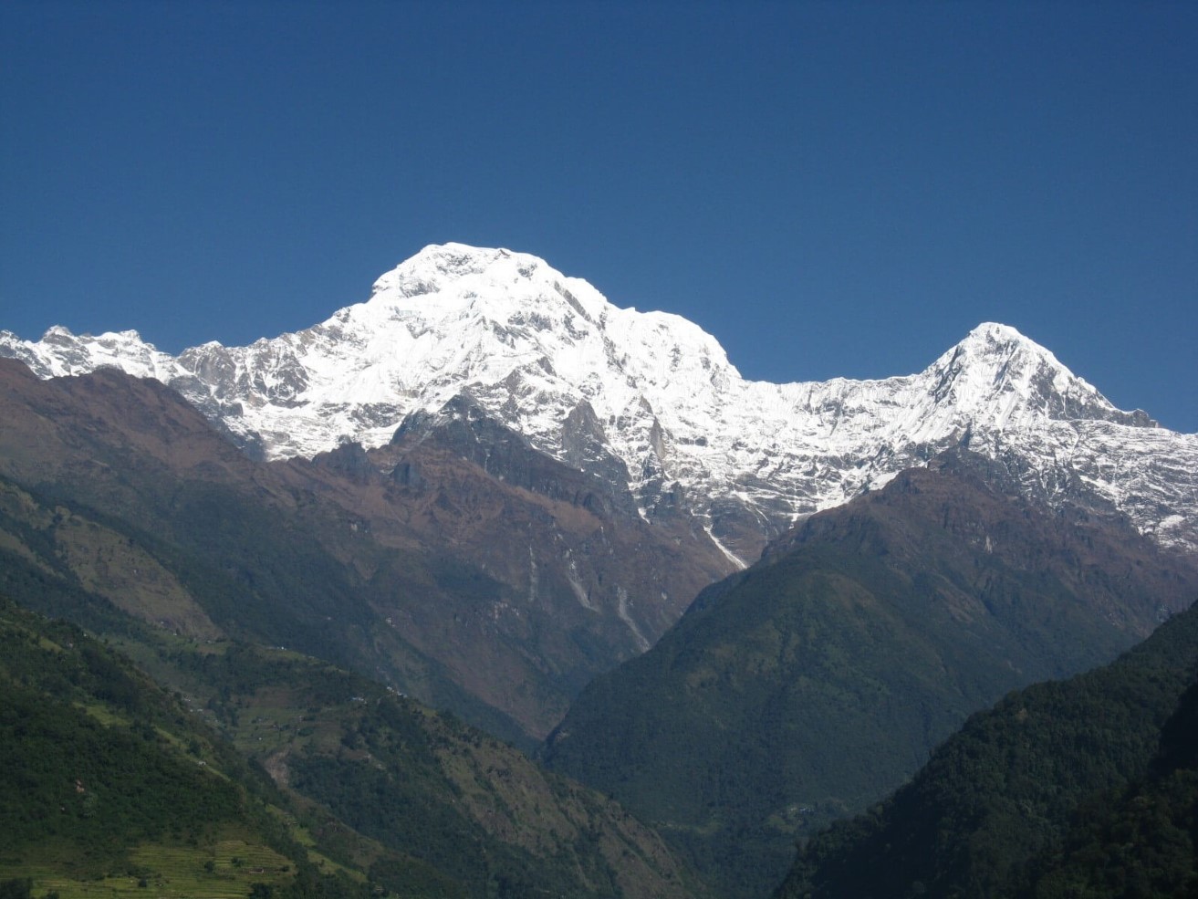 Mt. Annapurna South from Tadapani